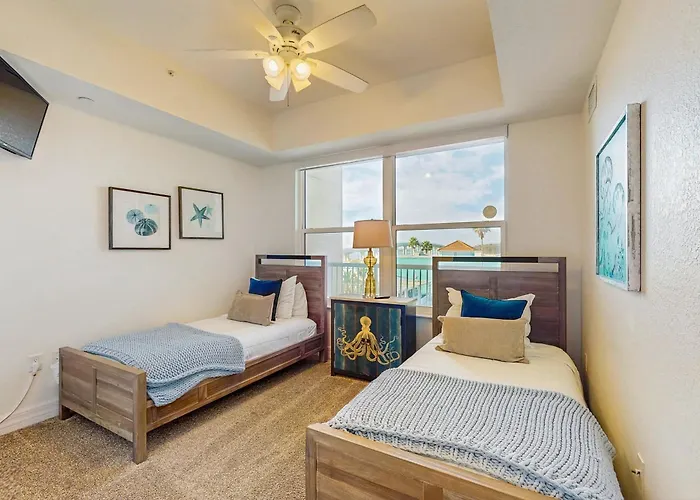 Dolphin's Cove - Clearwater Beach, Fl